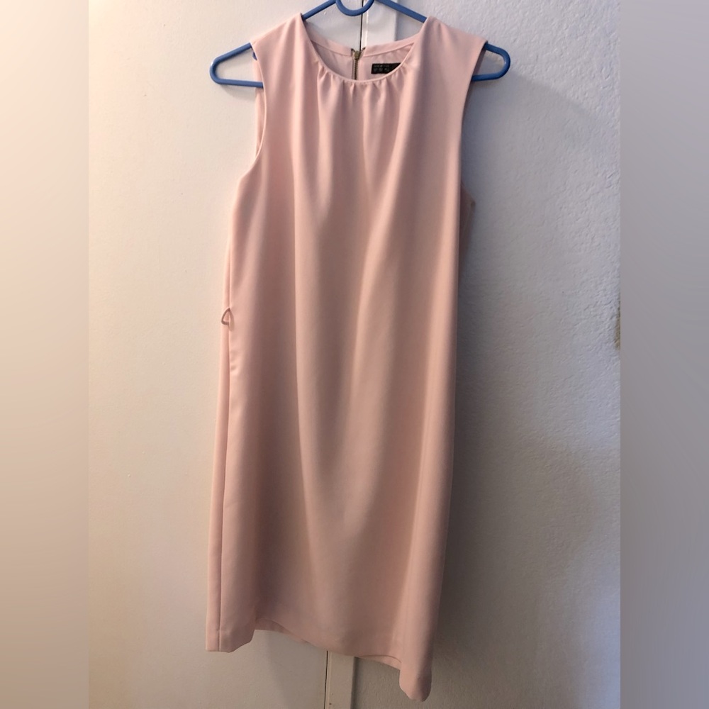 Zara Shift Dress